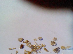 Rare wire gold ( Ace of Diamonds mine )